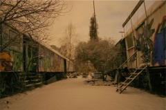2010