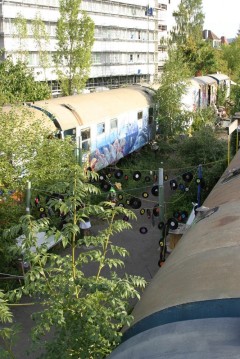 2006